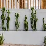 Thalassa Aparthotel Kastraki (Naxos)