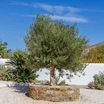 Thalassa Aparthotel Kastraki (Naxos)
