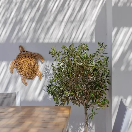 Thalassa Naxos Kastrákion