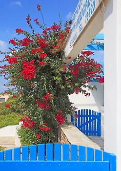 Thalassa Naxos 3* Kastrákion